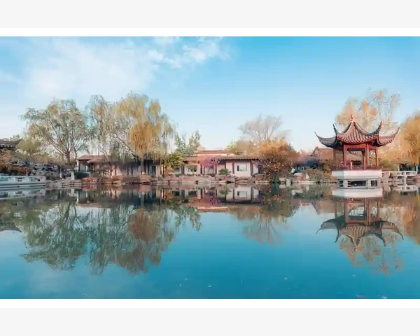儿童脾胃调理：中医儿童脾胃揉腹操指南