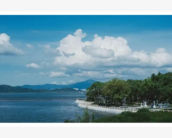 湿疹的应对策略：饮食调理是关键
